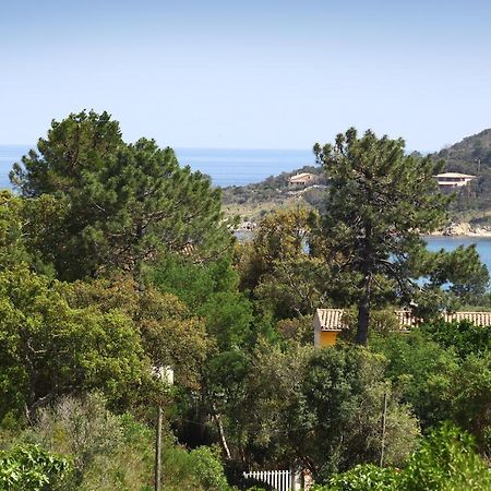 Villa Mimosa Favone Dış mekan fotoğraf