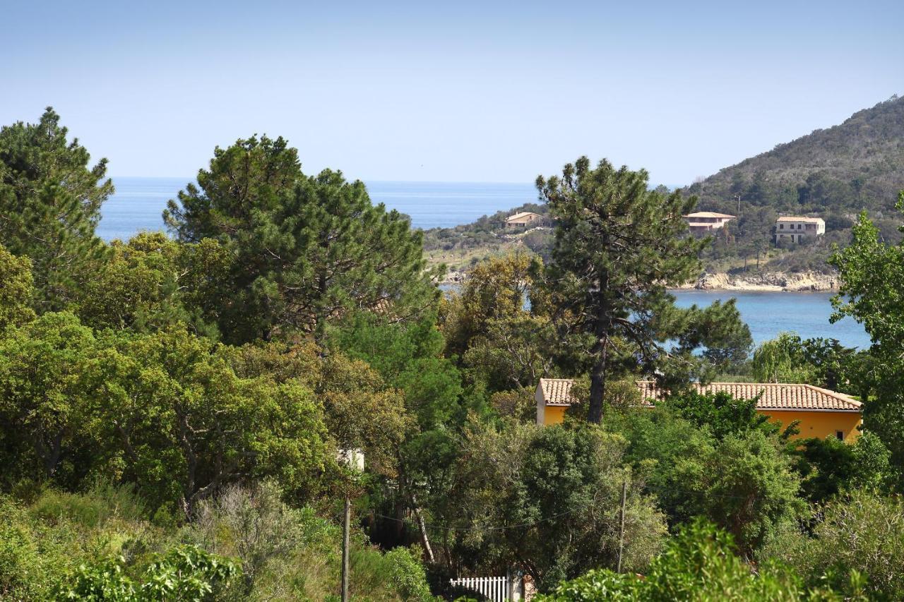 Villa Mimosa Favone Dış mekan fotoğraf