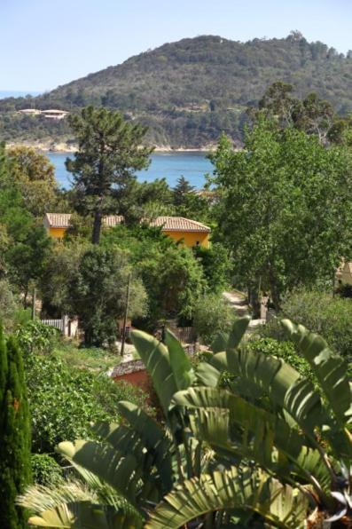 Villa Mimosa Favone Dış mekan fotoğraf