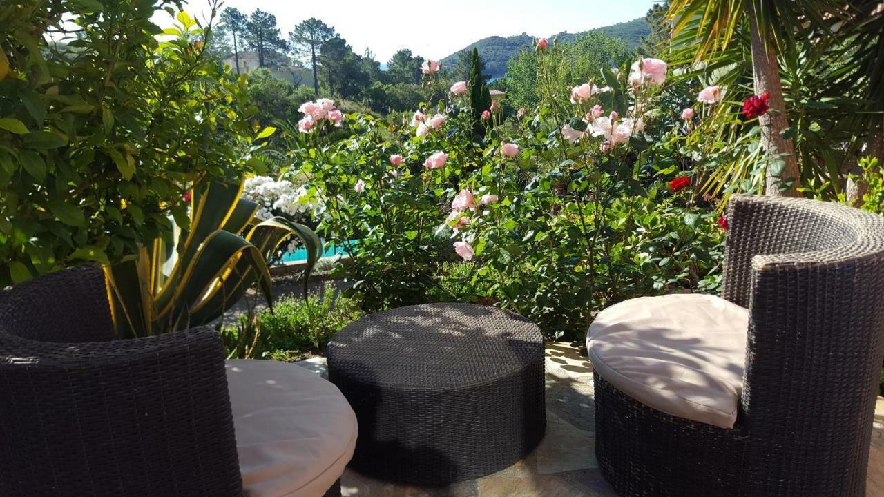 Villa Mimosa Favone Dış mekan fotoğraf
