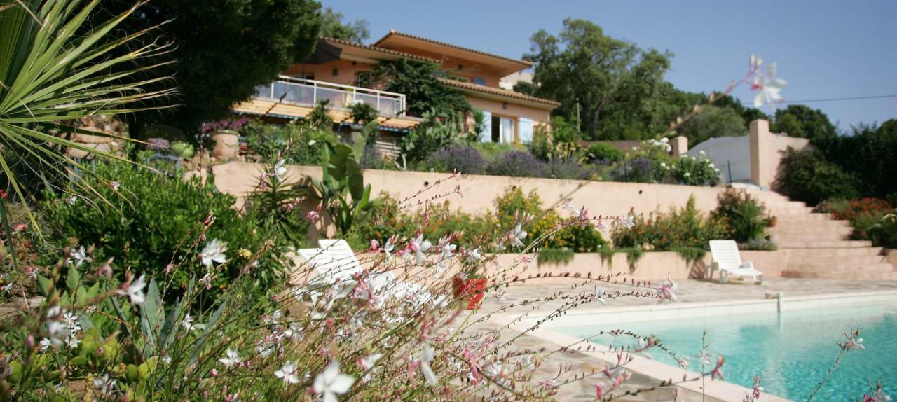 Villa Mimosa Favone Dış mekan fotoğraf