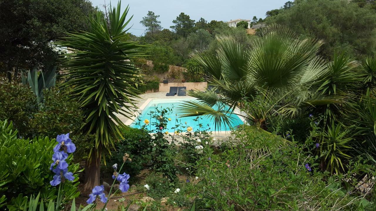 Villa Mimosa Favone Dış mekan fotoğraf