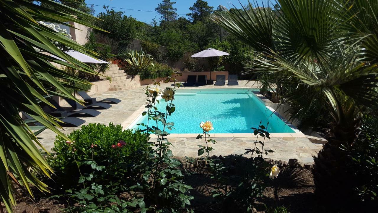 Villa Mimosa Favone Dış mekan fotoğraf