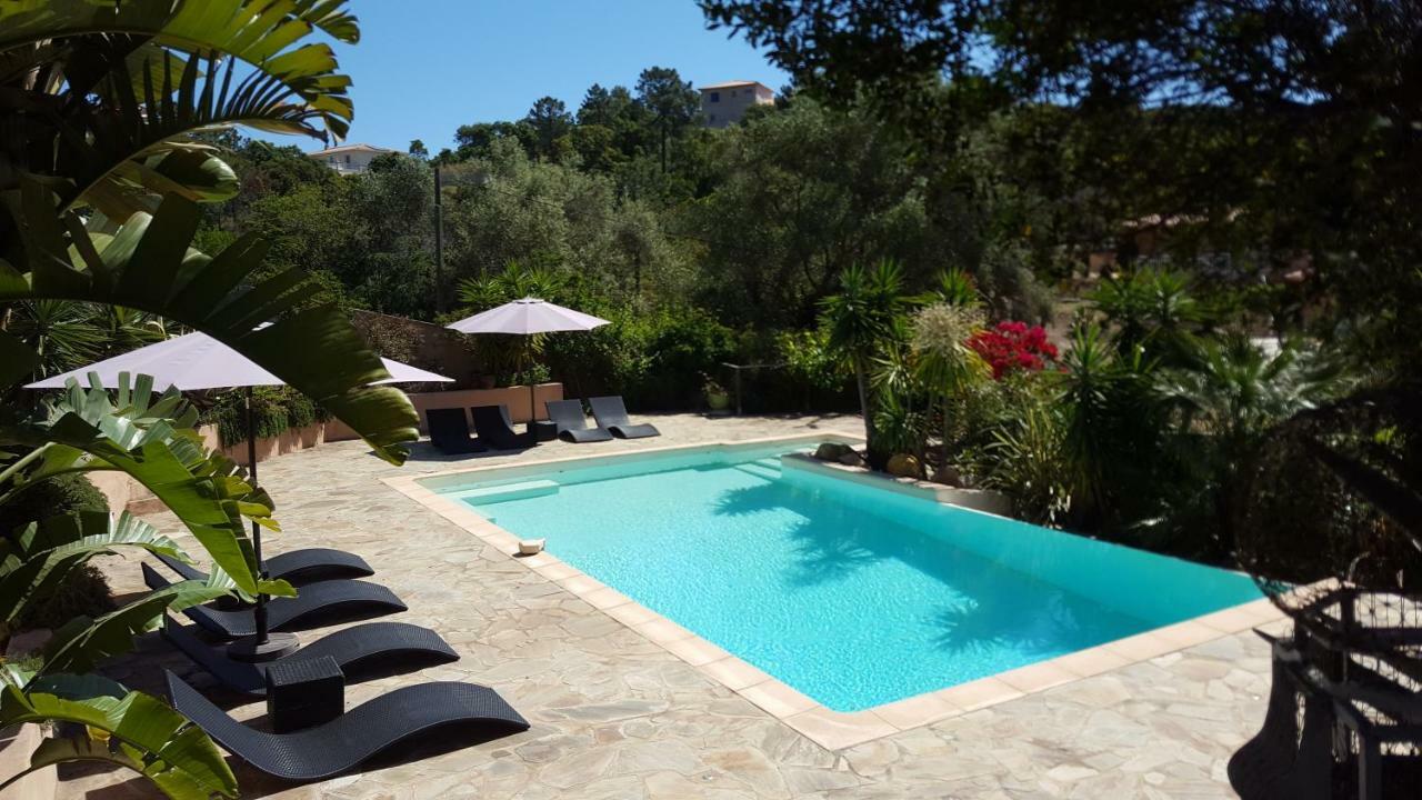 Villa Mimosa Favone Dış mekan fotoğraf