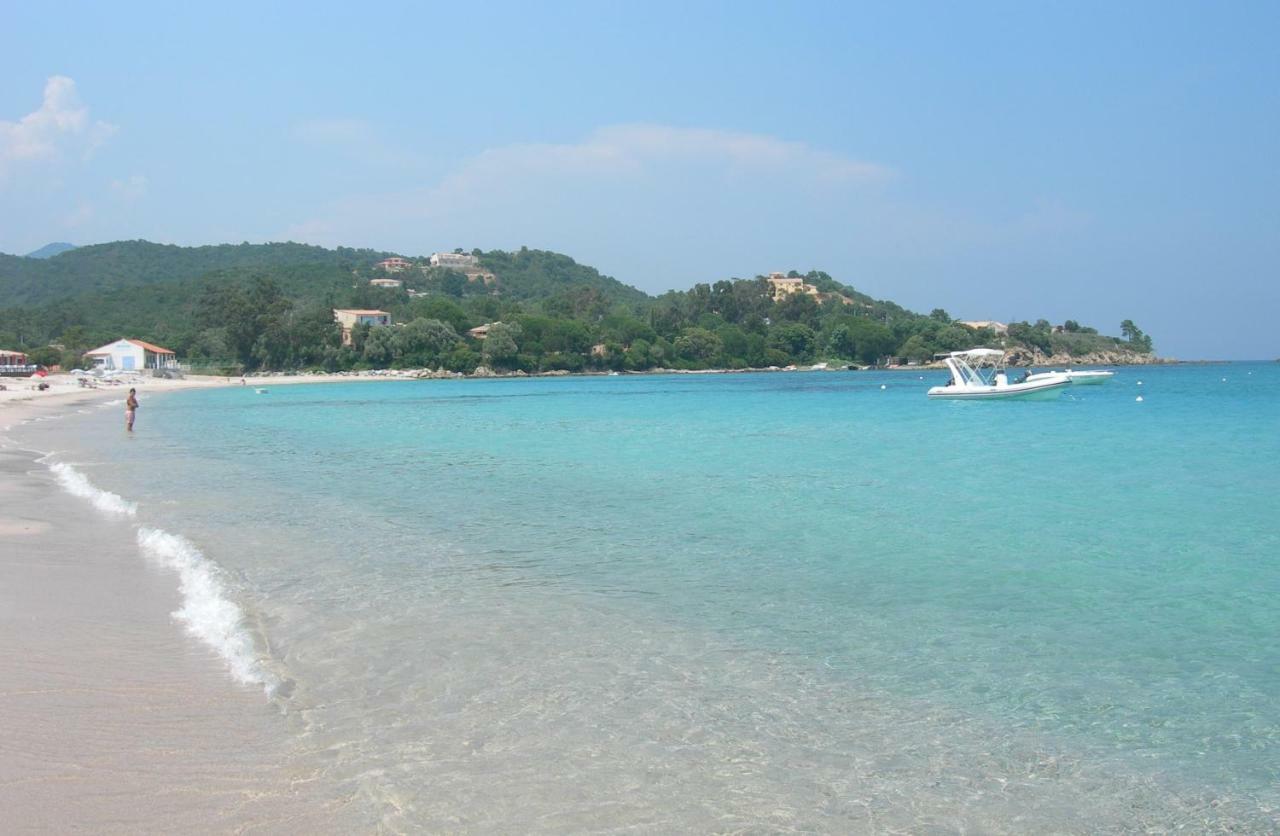 Villa Mimosa Favone Dış mekan fotoğraf
