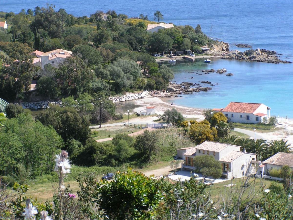 Villa Mimosa Favone Dış mekan fotoğraf