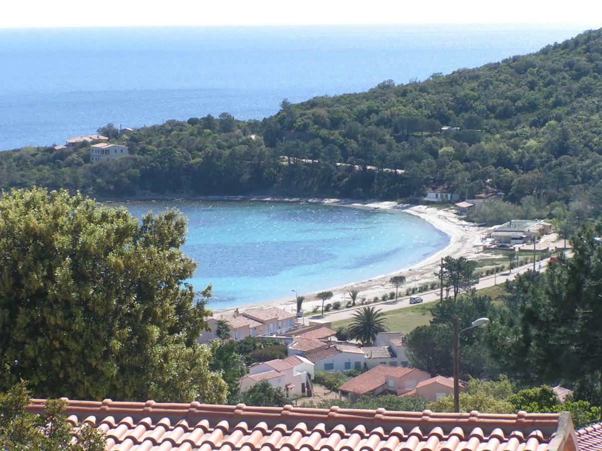 Villa Mimosa Favone Dış mekan fotoğraf